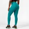 BRASIL BEAUTY Evelyn Seamless Scrunch Leggings Green