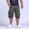 ROYAL Shorts Green